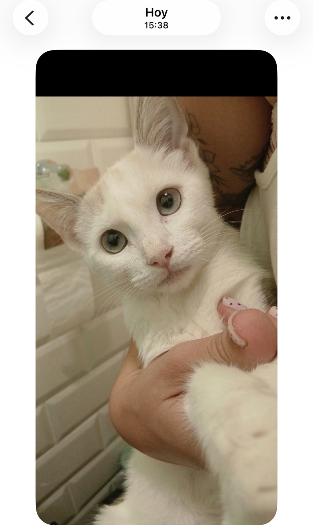Blanca
